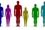 【悲報】日本人男性の身長分布をご覧くださいｗｗｗｗｗ