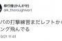 【悲報】西武ファン 打撃練習してるだけのデスパイネにブーイング