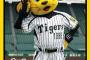 2019年スーパー阪神タイガース（130勝13敗）