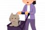 猫飼ってる奴にしかわからないことｗｗｗｗｗｗｗｗｗｗｗｗ 	