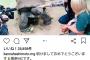 橋本環奈ちゃん、新年からでっかい亀頭をいじってる写真をインスタに投稿