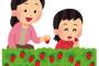 【画像】彼が仕事でいちご狩りに行けなくなった女さんの驚きの行動に一同驚愕ｗｗｗｗｗｗｗｗ