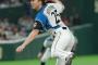 宮西尚生(23) 50試合 2勝4敗8H 4.37 	