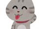 うちの猫がデカすぎるという写真がtwitterで話題に！！これ半分虎なのでは？？