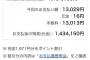 彡(^)(^)「リボ払いは毎月定額の支払いでラクでええなぁ。さーて残高はっと」 	