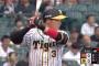 阪神大山さん、9年ぶりの快挙