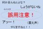 淫夢語録を微妙に間違えることでイライラすることが判明