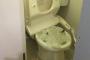 【悲報】トイレに固まる猫砂を流した結果ｗｗｗ