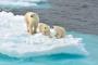【絶望】北極圏の「気温」、マジで洒落にならんｗｗｗｗｗ