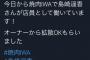 【悲報】島崎遥香が焼肉IWAでバイトｗｗｗｗｗｗ【ぱるる】