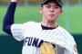12球団ドラフト1位を格付けしたωωωωωωω
