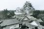 名古屋城の木造復元事業が行き詰り、石垣の保全方法が決まらず！