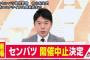 選抜高校野球が史上初の中止…新型コロナウイルスの影響受け最終判断