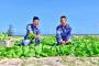 中国海軍が占拠する南シナ海の島で野菜栽培に成功、駐屯兵の野菜不足解消へ…支配の既成事実化！