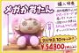 メガかおたんぬいぐるみ(34800円)が無事完売