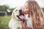 犬「人間のために進化しました、今も色々な場所で人間のために働いています」