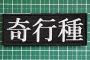 【ﾚｯﾃﾙ】誤解されても困るし。