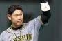 【阪神】原口Ｖ打「しっかり準備をした中でいい結果に」代打で３割５分と絶好調