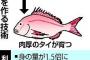 【悲報】人類、タブーを犯す　ゲノム編集で１・５倍肉厚にしたタイが流通へ