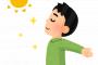 【唖然】ワイ「人生つらい…」謎の勢力「日光を浴びろ」