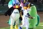 【朗報)オリックス・バファローブルくん、人気マスコットだった