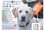 盲導犬「かわいそう…そんな目で見てませんか？」