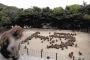【画像】動物園のお猿さんの群れ、人類へのメッセージを発信する
