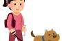 犬って何で散歩が好きなん？