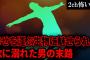 【2ch怖いスレ】幸せを運ぶ生物に魅せられ欲に溺れた男の末路【ゆっくり解説】