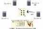 【画像】大富豪強い人がこの手札を見た瞬間、一位を確信するらしい…おまえらならどうする？
