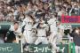 【3連勝】阪神ファン集合【大山】5/24