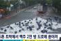 韓国人「韓国の道路で2000本のビールがぶち撒かれた結果」