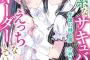 ラノベ「草食系なサキュバスだけど、えっちなオーダーしていいですか？」予約開始！草食系サキュバスのお客様たちを独り占め