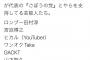 【悲報】山Pさん、ただゴボウが好きなだけだったのにごぼうの党支持者にされてしまう