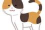 【画像】もちまる日記さん、一線を越える・・・