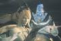 【朗報】FF16体験版、ガチで神ゲーだと話題にｗｗｗ