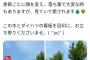 ダイハツさん、なにかを煽る「店の前に生えている木を目印に当店舗へお越しください」