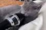 【悲報】猫の寝言、情けない【動画】