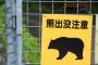 【クマ終了】秋田県の佐竹知事、ついに本気を出す！！！.....