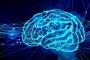 【人類終了】人工培養された脳みそでCPU作ることに成功