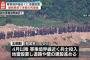 北朝鮮、非武装地帯(DMZ)で地雷埋設中に複数回の爆発事故…兵士の死傷者が多数と韓国軍！