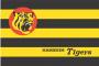 【阪神】新イベント「TIGERS B-LUCK DYNAMITE SERIES」開催決定