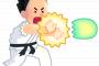 「ストリートファイターで一番好きなキャラ」←誰でごわす？