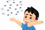【悲報】コバエ、部屋の中で繁殖し始めるｗｗｗｗｗｗｗｗ
