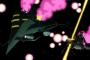 ガンダムの戦艦ってなんであんな弱いの？