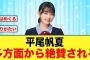 【大絶賛】平尾帆夏が多方面からめちゃくちゃ褒められる【日向坂46】