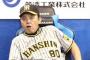 【悲報】岡田彰布さん、順調に老害へ