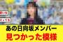 あの日向坂メンバーが、めちゃくちゃ見つかってる模様【日向坂46】