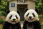 中国人「日本のトイレで本当に困ったこと」　中国人「私は一度も困らなかった」「公園や鉄道駅によくあるよ」