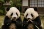 中国人「日本に来てから、これだけをひたすら食べ続けている」　中国人「私の日本旅行の定番」「私の優勝はこれ！」